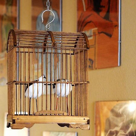 Chambres D'Hotes Le Secret Du Chat Cordes Sur Ciel Εξωτερικό φωτογραφία