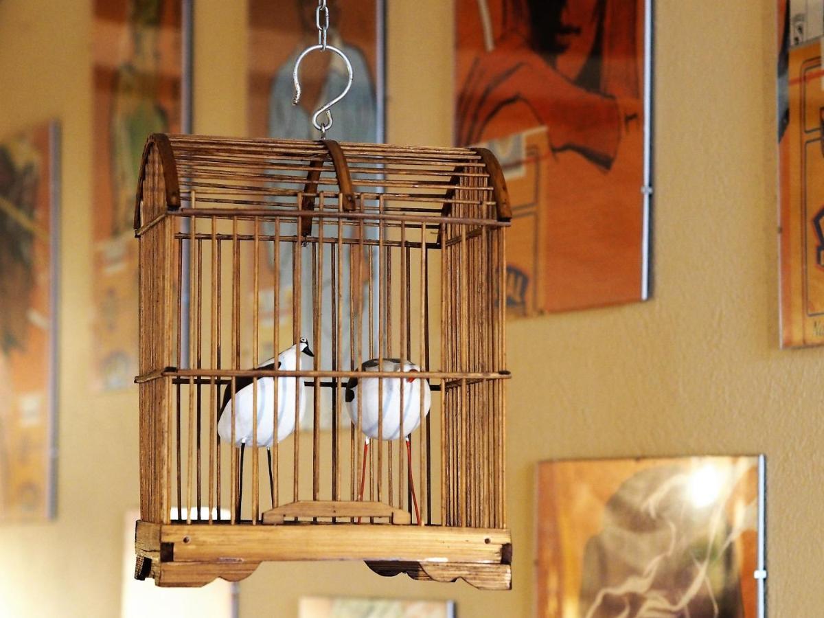 Chambres D'Hotes Le Secret Du Chat Cordes Sur Ciel Εξωτερικό φωτογραφία