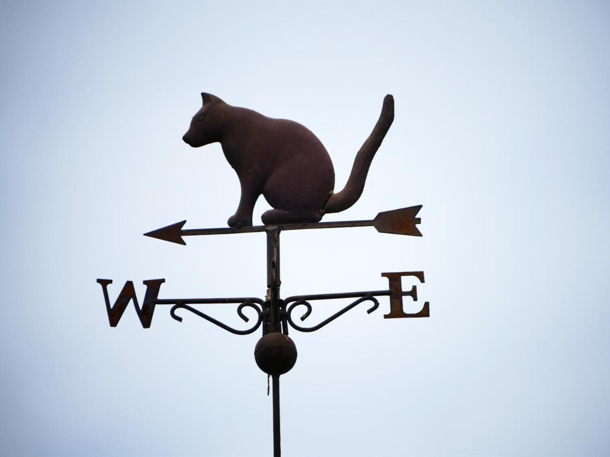 Chambres D'Hotes Le Secret Du Chat Cordes Sur Ciel Εξωτερικό φωτογραφία
